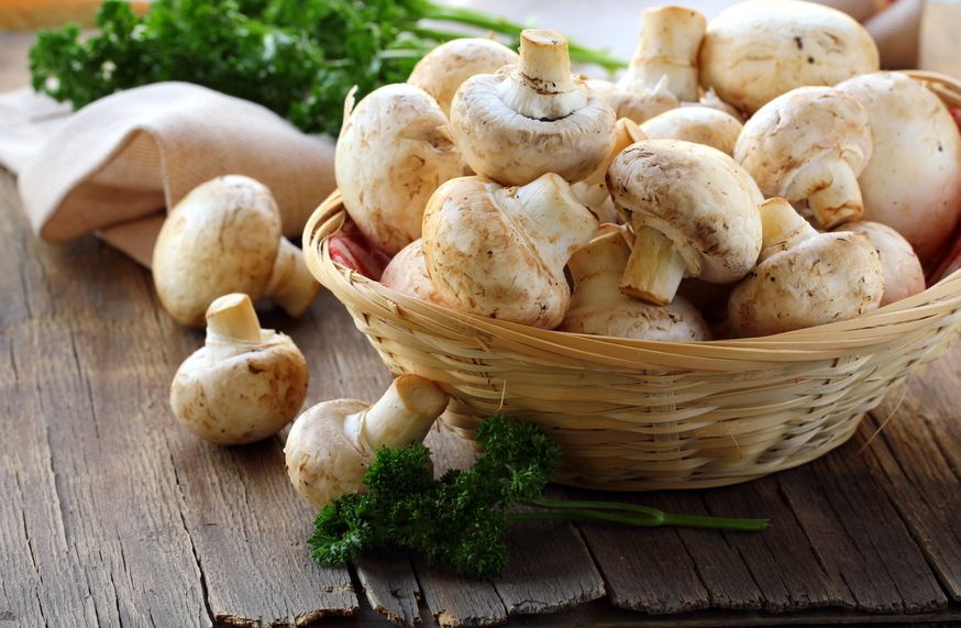 В составе грибов встречаются витамины и минералы, необходимые для нормальной деятельности человеческого организма