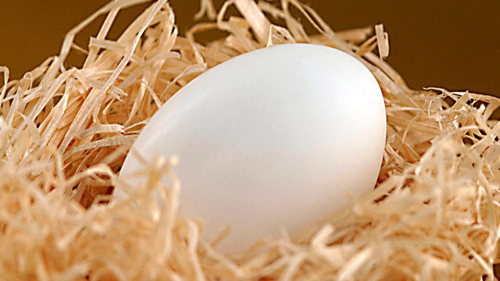 Холестерин в куриных и перепелиных яйцах