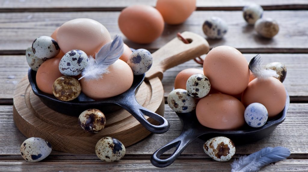Холестерин в куриных и перепелиных яйцах