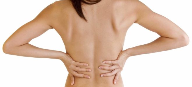 Симптомы остеохондроза грудного отдела позвоночника и его лечение