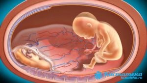 Нарушения на эмбриональном этапе формирования плода