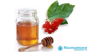 Мед с соком калины снижаюn скорость роста кисты