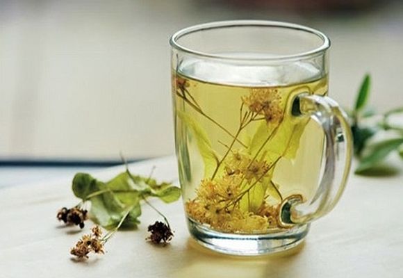 чай из японской софоры